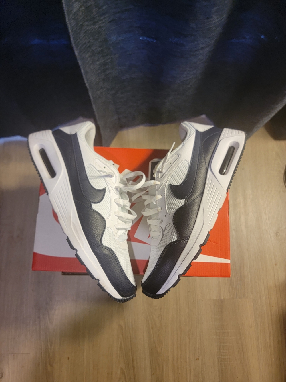 Nike Air Max SC
